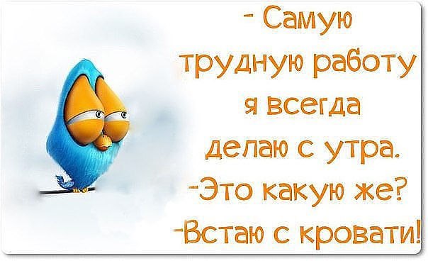 Приколы в картинках с надписями про работу с утра