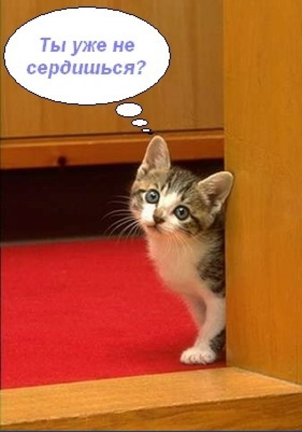 Прикольные картинки не злись на меня любимый