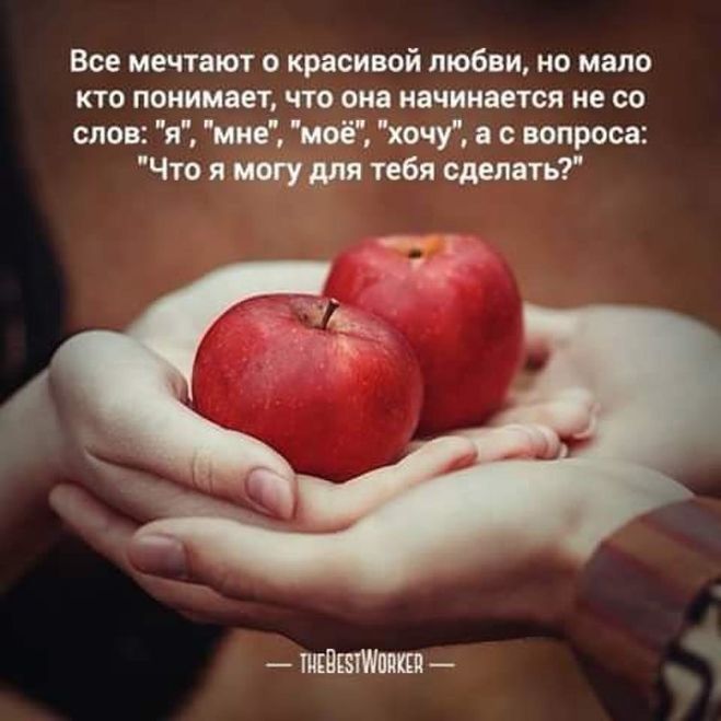 Надписью, открытки с цитатами о жизни и любви