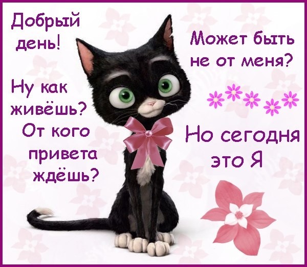 Колы надписью, открытки вас не узнать