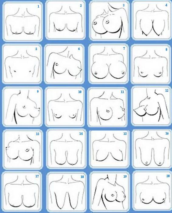 Tits Image Pack.