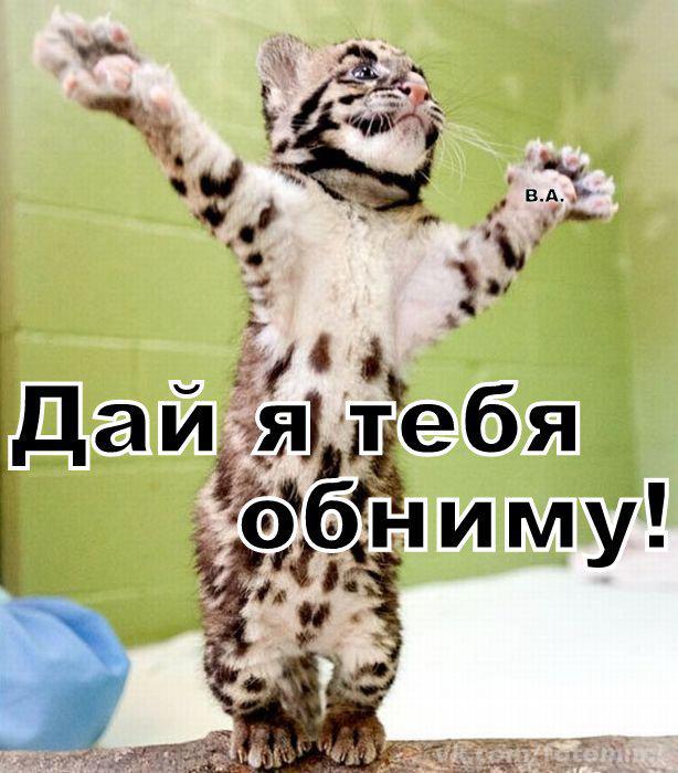 Днем рождения, прикольные картинки иди ко мне я тебя обниму