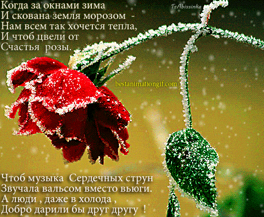 Так хочется тепла открытки, мужу днем свадьбы