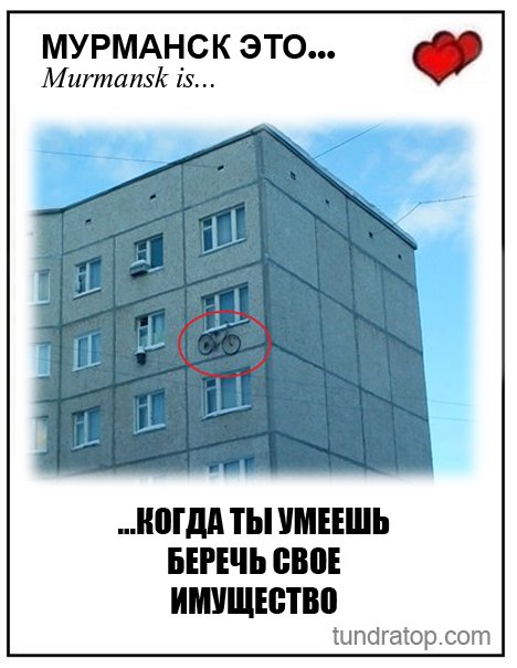 Мурманск смешные картинки