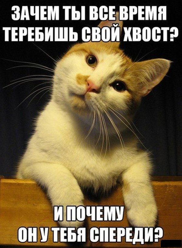 Смешные картинки я не хочу