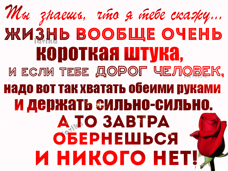 Открытки жизнь коротка