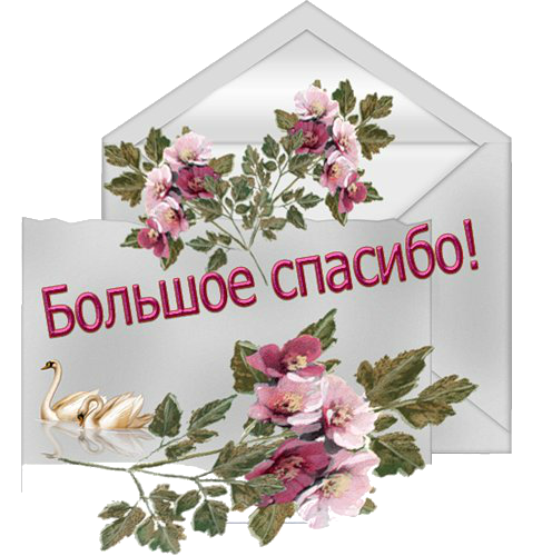 Открытка со словами спасибо за внимание, приколы картинках картинки