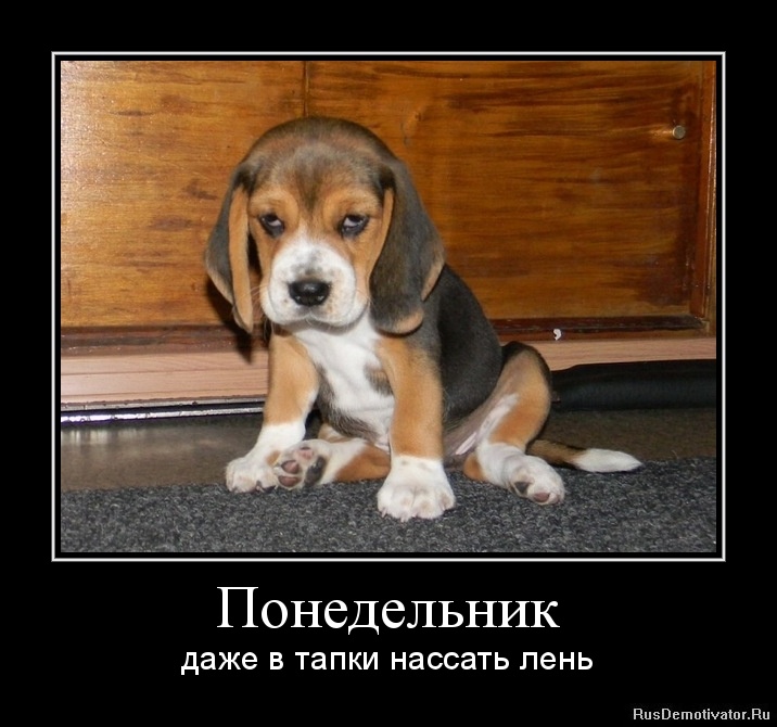 Смешные картинки про понедельник с надписями и работу, для мамы день