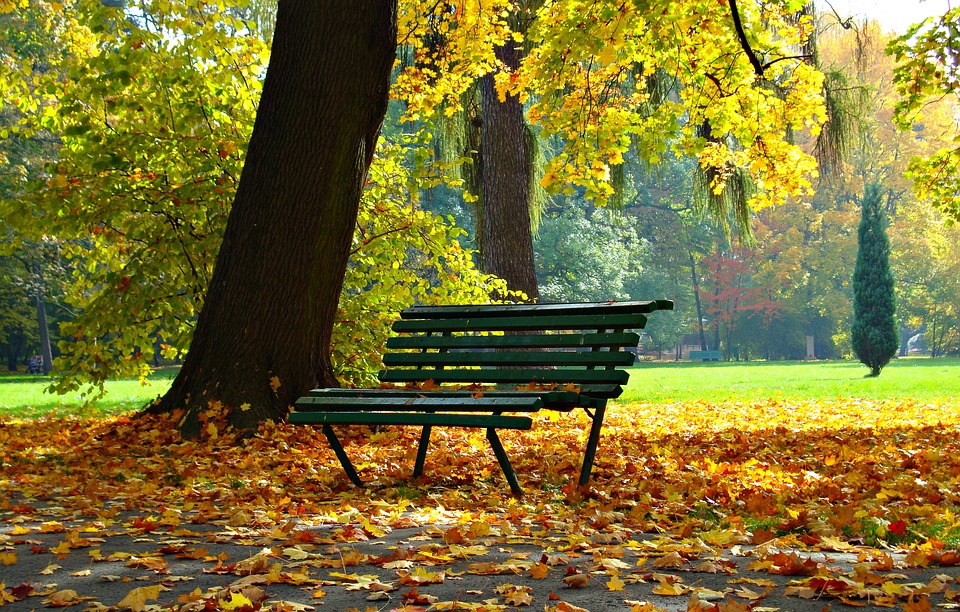 Октябрь парк скамейка два