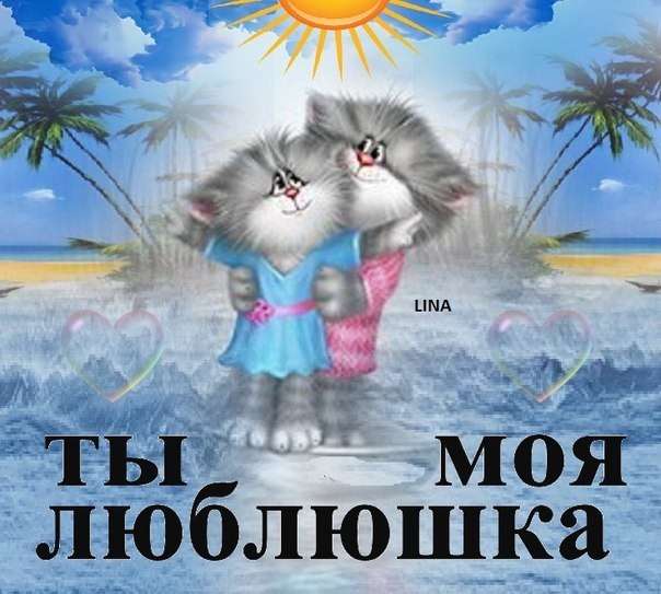 День, открытки доброе утро люблюшка