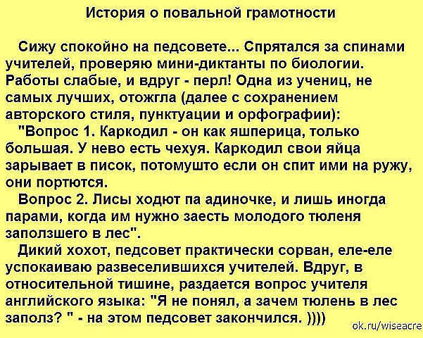 Педсовет смешные картинки, мне дорог милый
