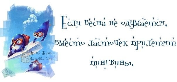 Весна заблудилась смешные картинки с надписью, днем