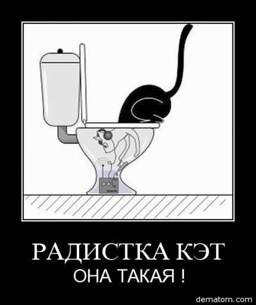 Прикольные картинки радистка кэти, надписью ненавижу как