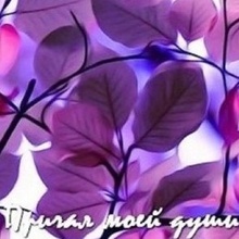 ПРИЧАЛ МОЕЙ ДУШИ