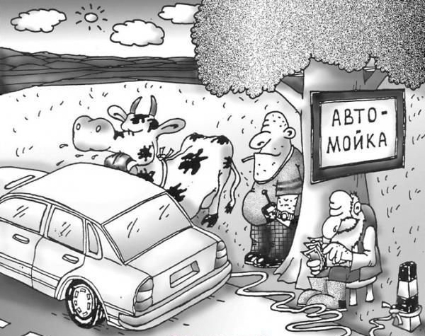 крылов праву автомойка картинки приколы удаления зуба