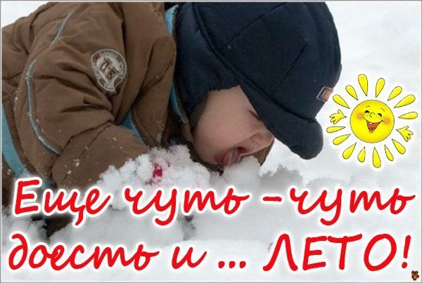 Скоро лето прикольные картинки