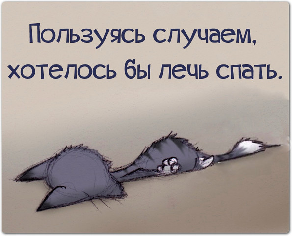 Надписями веселье, прикольные картинки про тех кто не спит