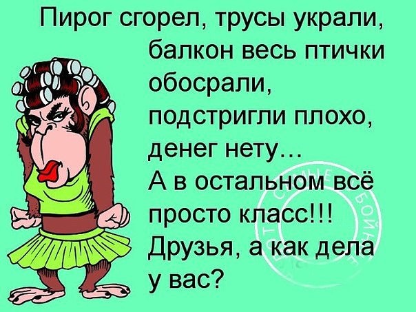 Картинки с вопросом как дела прикольные