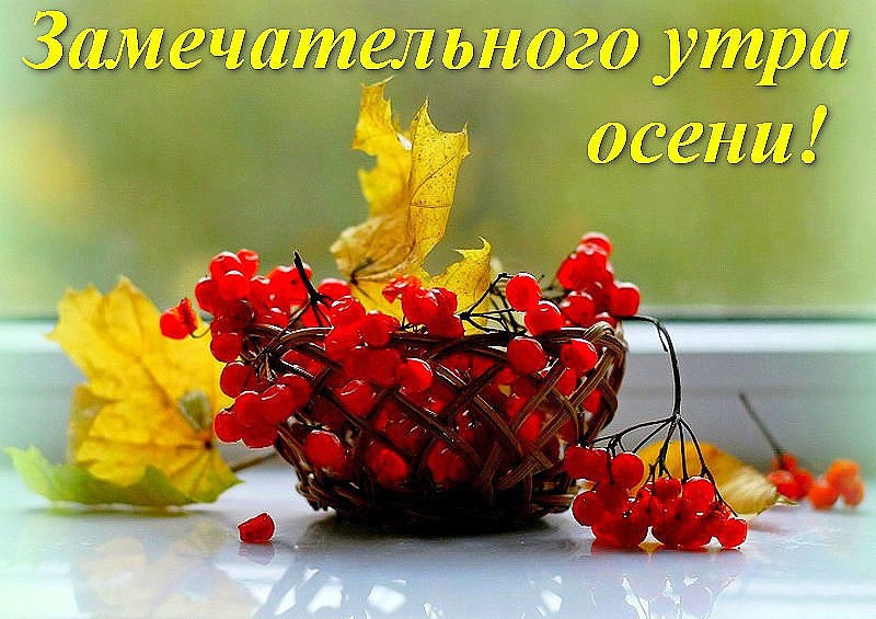 Картинки, открытка с добрым утром осень