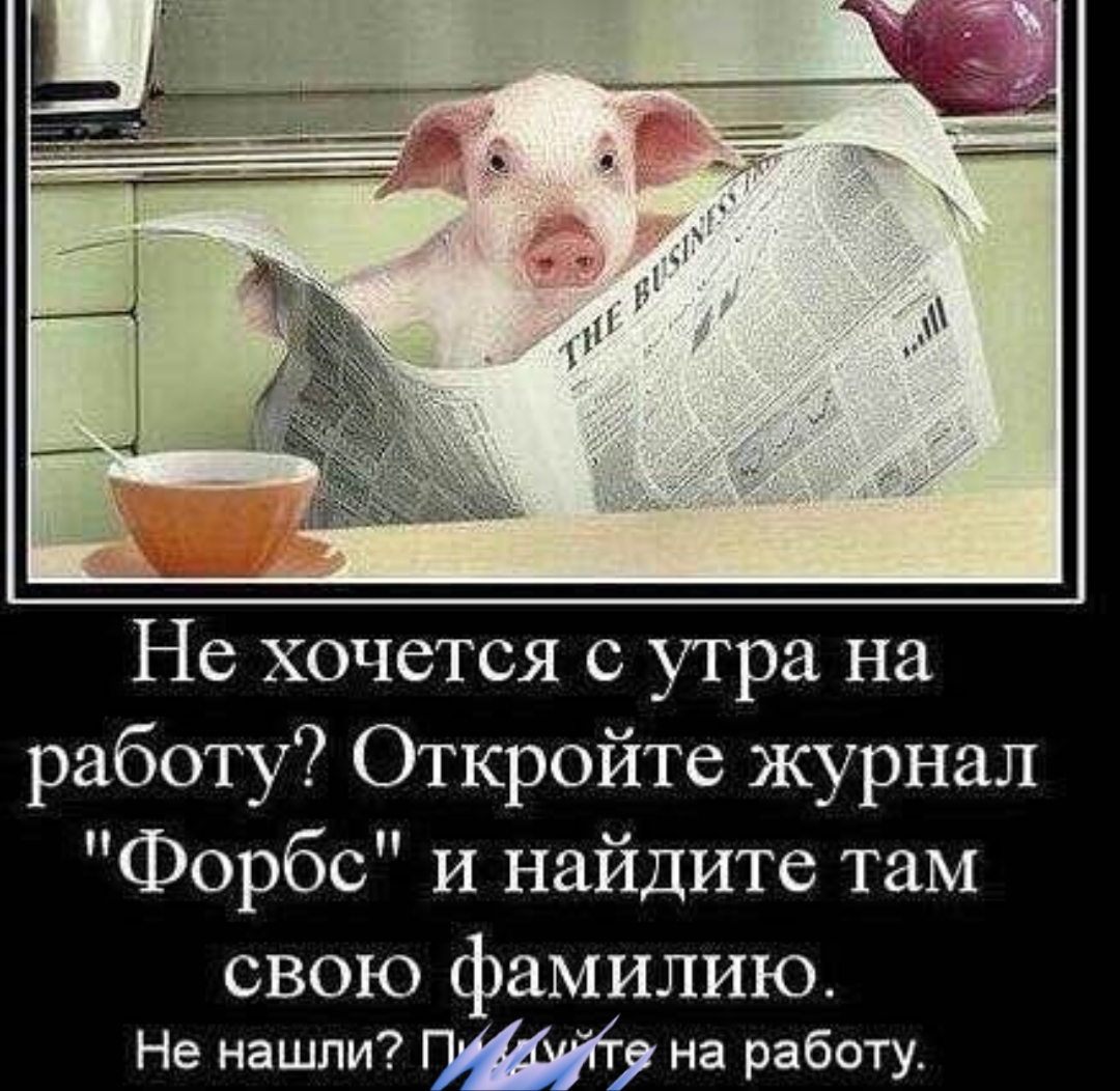 На работу как на праздник картинки прикольные