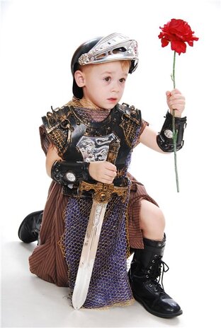 Рыцарь фото для детей
